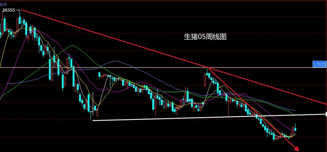 美指期货