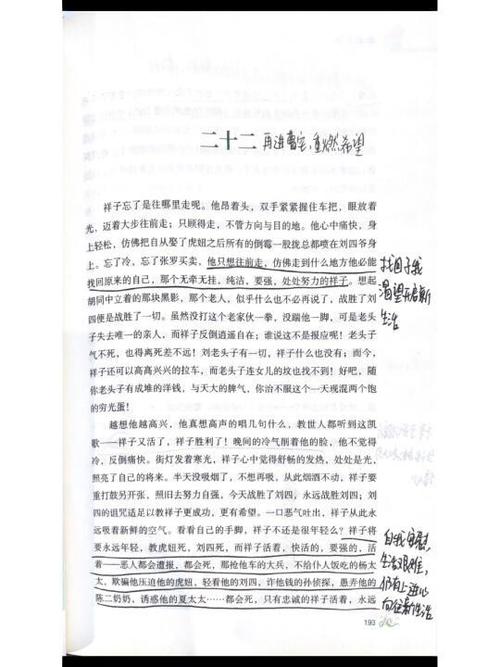骆驼祥子文章