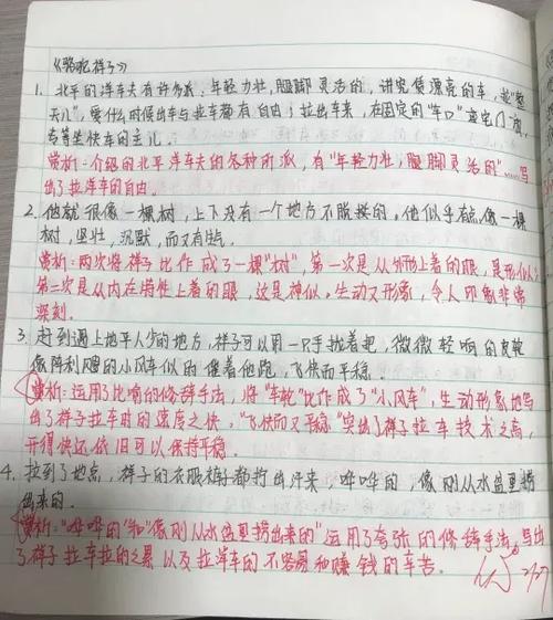 骆驼祥子好句摘抄及欣赏