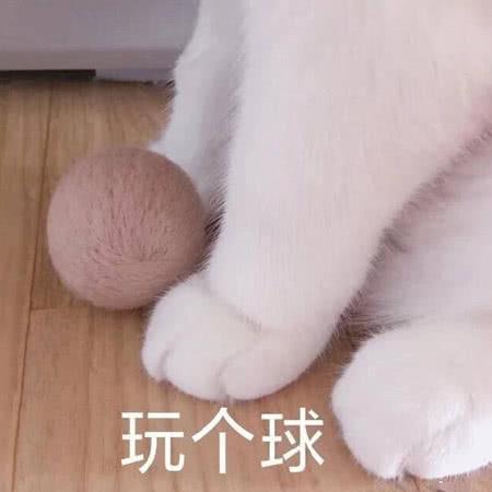 玩耍的表情包