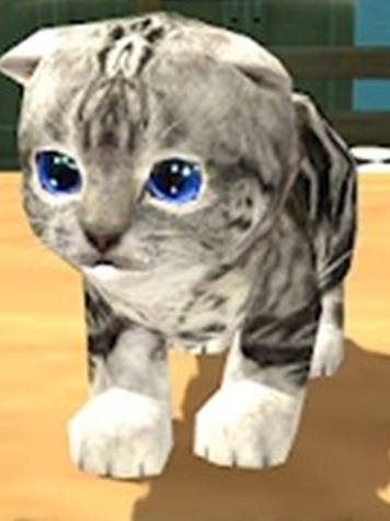 小猫咪模拟器