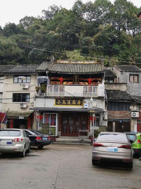 温州茶苑老版本2019