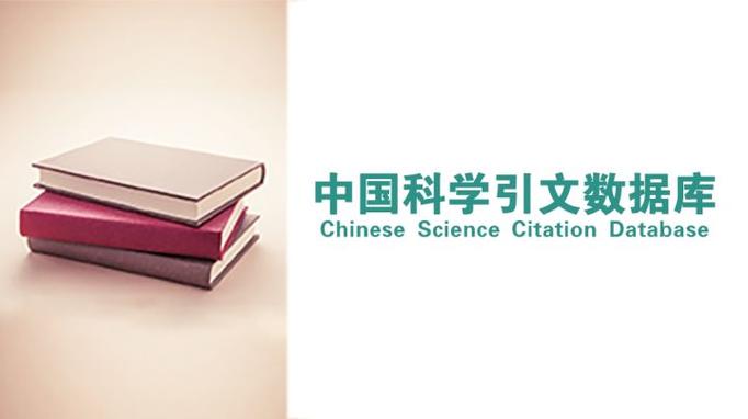 中国文献数据库