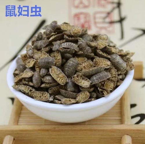 中药里生了棕色会飞的虫子