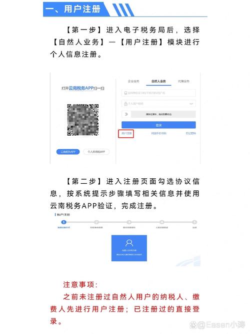 云南省税务局官网入口