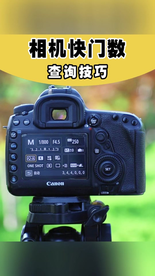 佳能快门速度怎么调