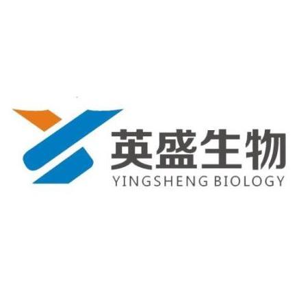 英盛国际有限公司