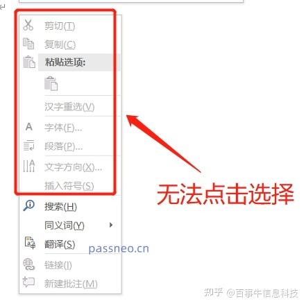 word复制后粘贴不上去