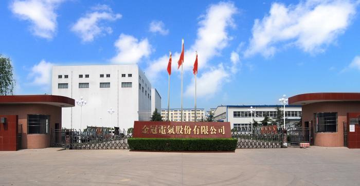 金冠控股集团有限公司