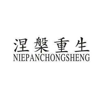 word文本框内文字消失了