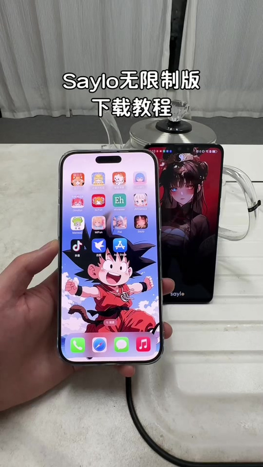 soul已限制对方与您聊天