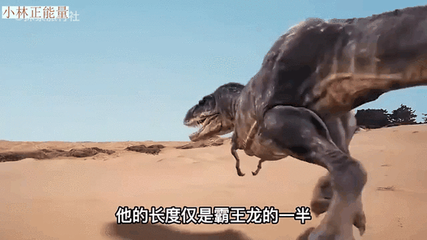最大的食肉恐龙