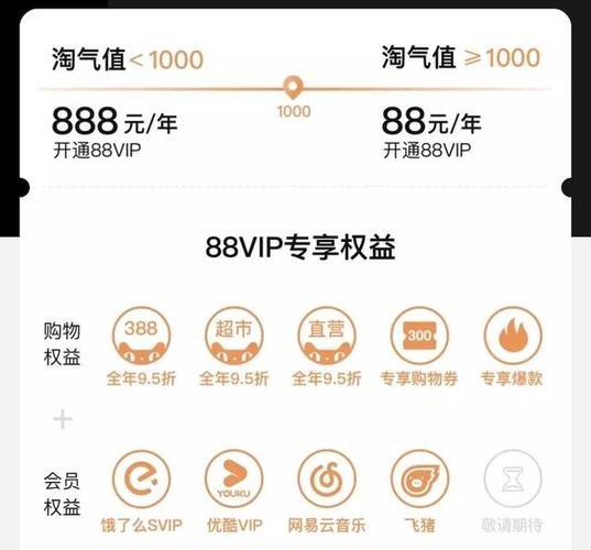 88vip一般是什么人开