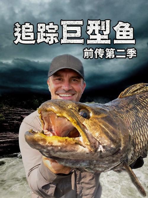 鱼在线观看完整版