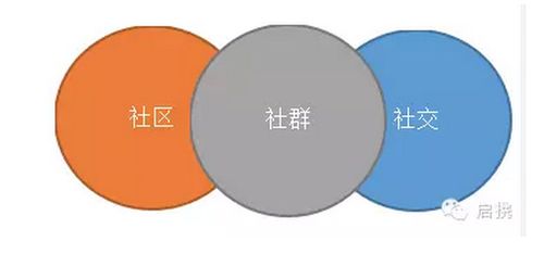 社群社区社交