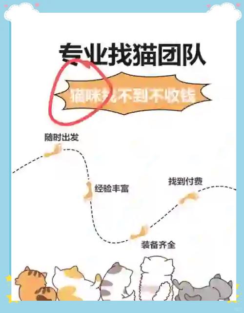 猫咪丢了有什么办法可以找回来