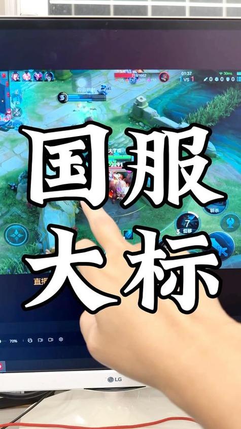 王者荣耀国服省级标志