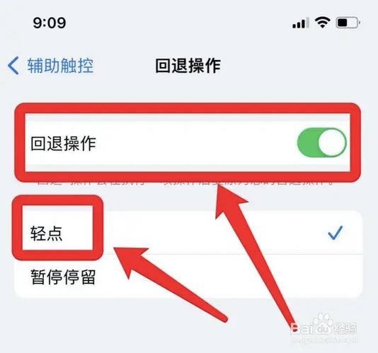 辅助触控是什么意思