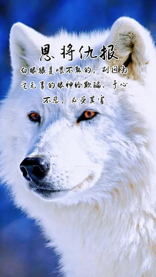 了熟于心有这个词吗
