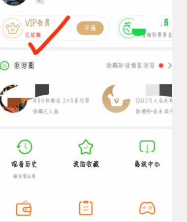 爱奇艺会员可以借给别人吗