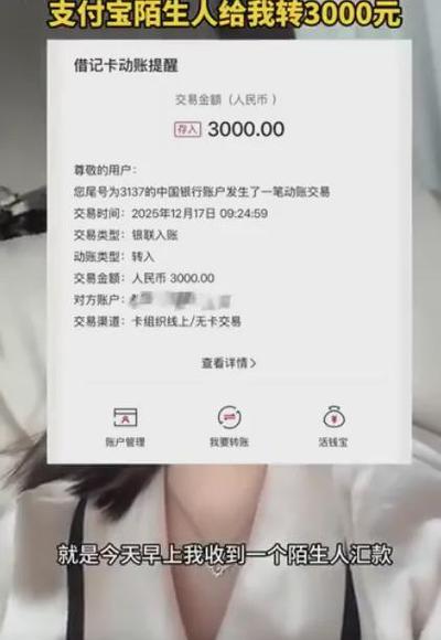 别人给我转账我能看到对方的账号吗