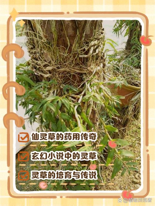 了不起的修仙模拟器灵仙草怎么获得