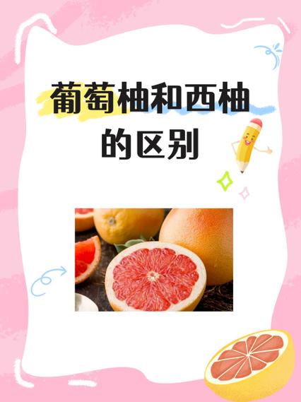 葡萄柚好吃还是红柚好吃