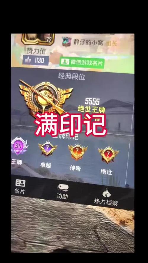 和平精英王牌印记20
