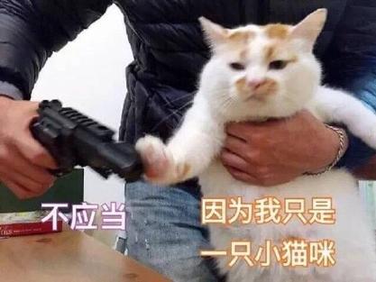杀猫表情包