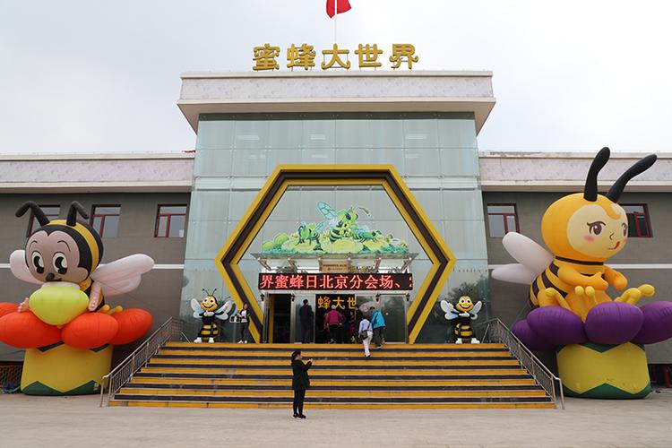 蜜蜂旅游网