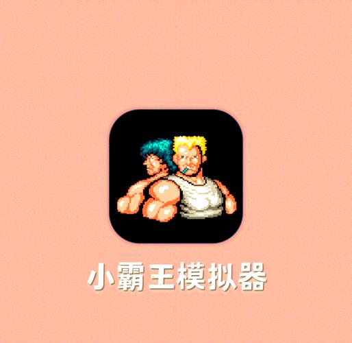 小霸王官网入口