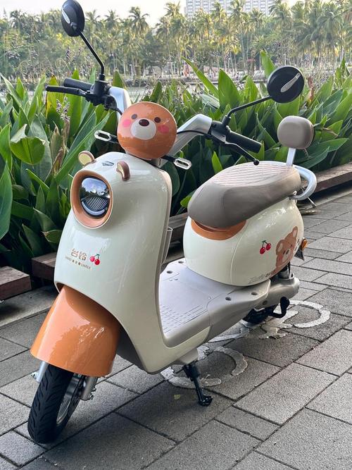 警察小熊挂电动车哪里