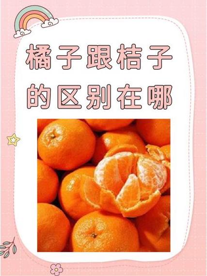 橘子和桔子图片区别