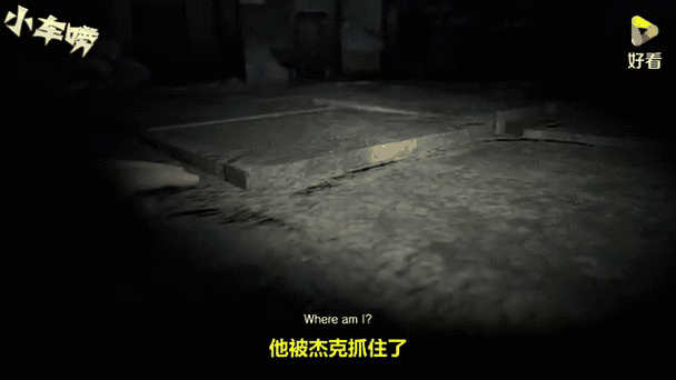 生化危机7dlc佐伊图文