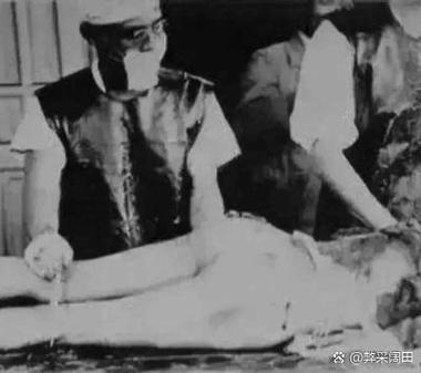 猫死后多久会只剩骨头
