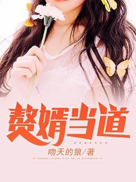 赘婿当道