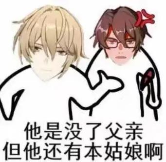 玩崩坏三玩的表情包