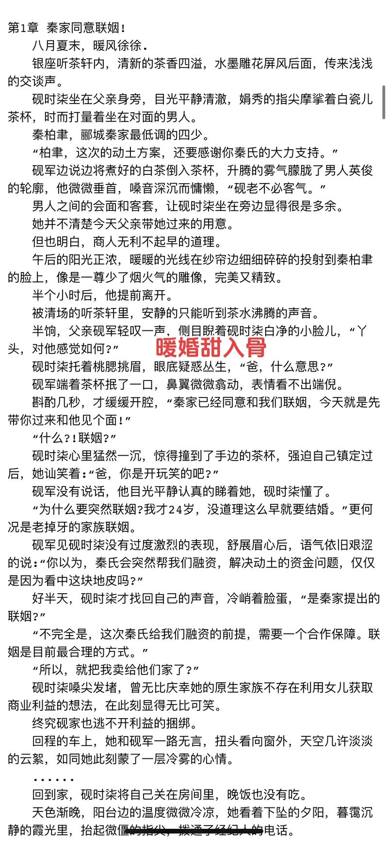 暖婚长情苏暖免费阅读
