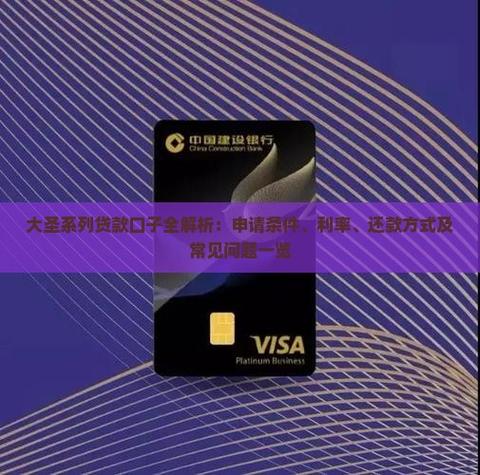 大圣系列贷款是什么意思