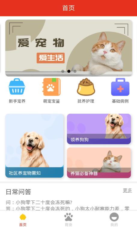 找丢失宠物用什么软件