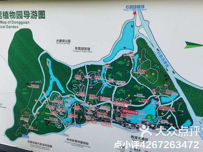 东莞汇一城属于东城还是南城