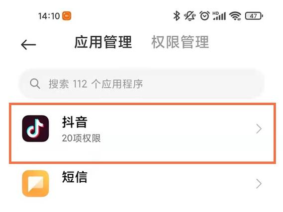 iPhone设置抖音浮窗
