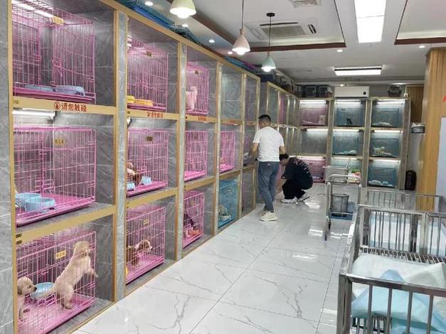 周边宠物店在哪里