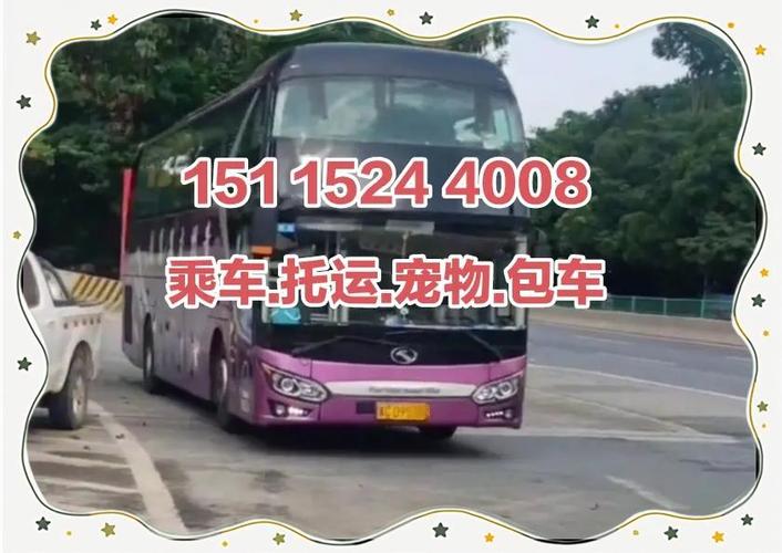 长途客运查询