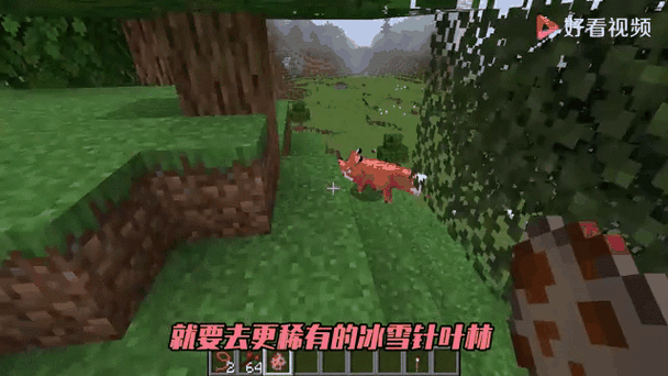 我的世界如何喂狐狸