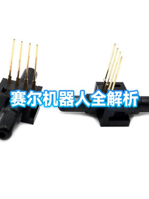 赛尔教育