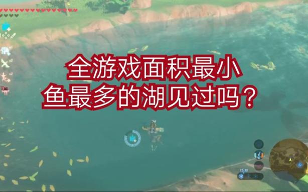 塞尔达传说鱼