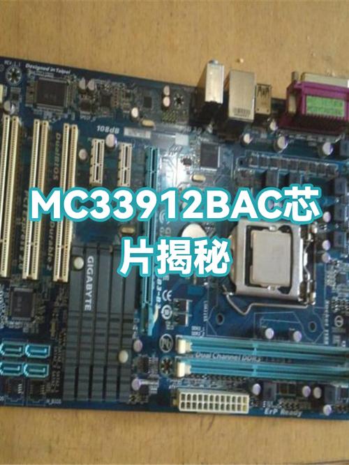 BAC芯今天官方消息
