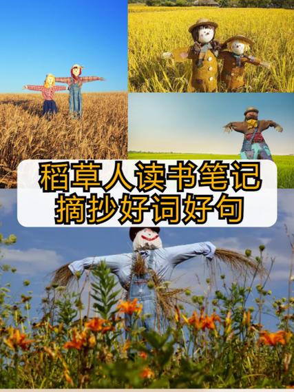 稻草人让我们懂得了什么道理
