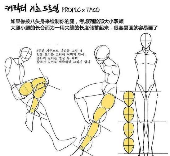 少年体型画法